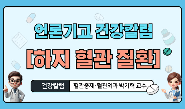 의학정보영상 이미지